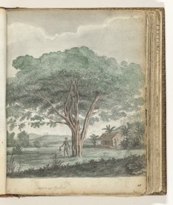  द्वारा जन ब्रांड
