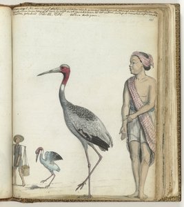  द्वारा जन ब्रांड