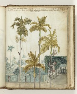  द्वारा जन ब्रांड