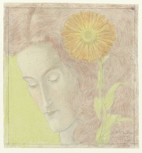  द्वारा जान तूरोप