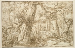 ड्राफ्ट्समैन के साथ फ़ॉरेस्ट इंटीरियर, c.1664 (प्राचीन रखी कागज पर भूरी स्याही) द्वारा जन एल्डर लिवेन्स
