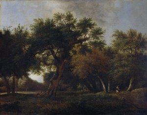जंगल का दृश्य द्वारा Jan van  Kessel
