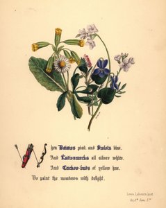  द्वारा जेन एलिजाबेथ जिराउड
