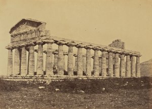  द्वारा जेन मार्था सेंट जॉन