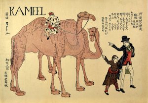 ऊंट, पब। 1821 (रंगीन लकड़बग्घा) द्वारा जापानी स्कूल