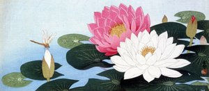 जल लिली और ड्रैगनफ्लाई - जापानी प्रिंट द्वारा जापानी स्कूल