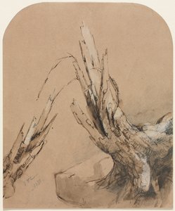 ए ब्लास्ट ट्री रेक्टो फ्लोरप्लान वर्सो, 1851।