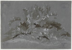 खरपतवारों का अध्ययन, 1800-1850।