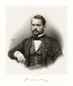 गोडफ्रॉय हेनरी बर्नार्ड अल्फोंस द टॉवर डावेर्गने, 1865-66