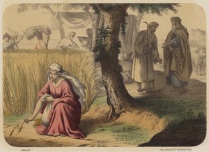 बूज़ फील्ड में रूथ
