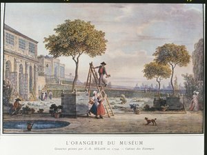 1794 में पेरिस में संग्रहालय में ओरेंजरी
