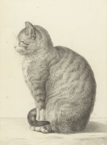 बैठी बिल्ली, बाईं ओर। 1815