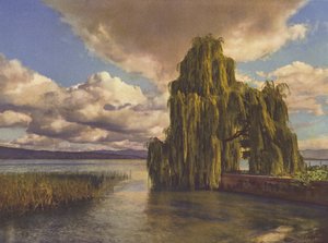 स्विट्ज़रलैंड: ज्यूरिख झील पर (रंगीन फोटो)