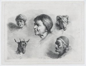 पांच प्रमुखों का अध्ययन, 1803। द्वारा जीन जैक्स डी बोइसियू