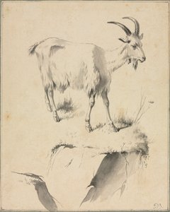 एक बकरी का अध्ययन, 1700s। द्वारा जीन जैक्स डी बोइसियू