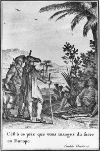'यह इस कीमत पर है कि आप यूरोप में चीनी खाते हैं', पियरे चार्ल्स बैकॉय (1759-1829) 1787 (उत्कीर्णन) (बी / डब्ल्यू फोटो) द्वारा उकेरी गई फ्रेंकोइस वोल्टेयर (1694-1778) द्वारा 'कैंडाइड' के अध्याय 19 से चित्रण।