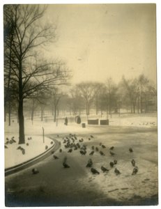 कबूतरों के साथ आम, बोस्टन, संयुक्त राज्य अमेरिका, c.1902-10 द्वारा जेसी टार्बो बील्स