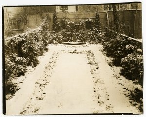 मिस्टर एंड मिसेज जॉन मॉर्गन, 39 डब्ल्यू 11 सेंट, c.1938-39 (जिलेटिन सिल्वर फोटो) द्वारा जेसी टार्बो बील्स