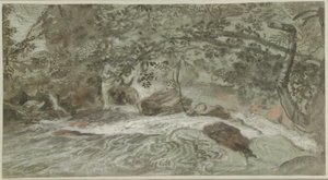 लटकती शाखाओं वाले रैपिड्स (वर्सो)