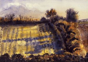 लांग शैडो, 1990 के साथ फील्ड, हस्तनिर्मित कागज पर पानी का रंग द्वारा जोन थेवेसी