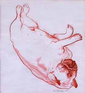 हॉगर्थ स्लीपिंग, 2005, (गीले कागज पर स्याही) द्वारा जोन थेवेसी