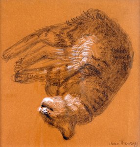 स्लीपिंग टैबी कैट, 2005, (ग्रेफाइट और सफेद पेस्टल) द्वारा जोन थेवेसी