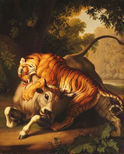 1785 में एक बुल पर हमला करने वाला टाइगर द्वारा Johan Wenzel Peter