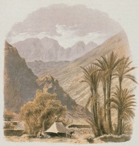 सिनाई। Bernatz et alii द्वारा नक़्क़ाशी - Steinkopk JF Editore द्वारा जोहान मार्टिन बर्नट्ज