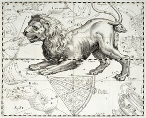 सिंह, सिंह का राशि चक्र नक्षत्र, जोहान हेवेलियस (1611-1687) स्टार एटलस से लिया गया चित्रण