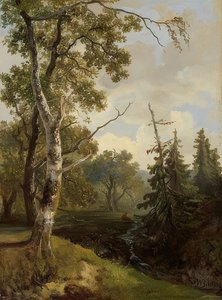 Waldstück bei Wolfheze (वुल्फेज़ के पास वन दृश्य)