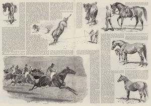 एक घुड़दौड़ का कैरियर (उत्कीर्णन)