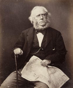 मिस्टर जेम्स प्लेफेयर, ग्लासगो, 1855 द्वारा जॉन एडम्सन