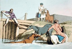 स्नान करने वाले घोड़े, कलाकार द्वारा उकेरे गए, 1803 में प्रकाशित (कलर लिथो) द्वारा जॉन ऑगस्टस एटकिंसन