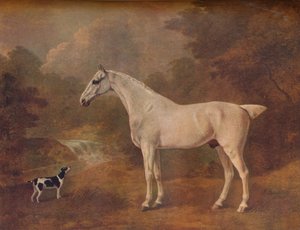 एक पिस्सू-काट ग्रे और एक धब्बेदार टेरियर, 1803।
