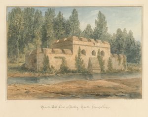 हैम्पशायर - नेटली कैसल, 1828 द्वारा जॉन बकलर