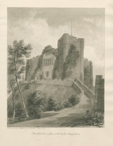 टैमवर्थ कैसल: सीपिया ड्राइंग, अप्रैल 1849 (ड्राइंग) द्वारा जॉन बकलर
