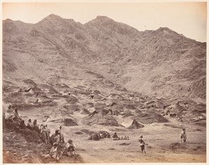जंगली में द्वारा जॉन बर्क