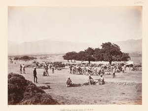 सफ़ेद संग शिविर S द्वारा जॉन बर्क