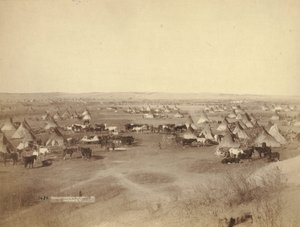 शत्रुतापूर्ण भारतीय शिविर, 1891