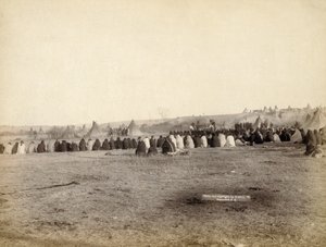शत्रुतापूर्ण शिविर में भारतीय परिषद, 1891
