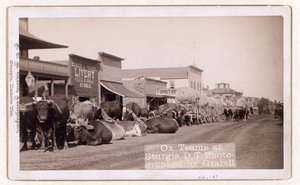 स्टर्गिस, डीटी, पब.1887 - 1892 में ऑक्स टीमें (फोटो) द्वारा जॉन सीएच ग्रिल