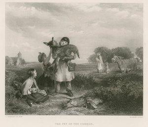 आम के पालतू द्वारा जॉन कॉलकॉट हॉर्सले