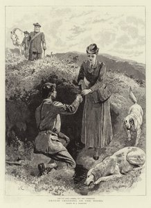 घोड़ों की शूटिंग Moors पर