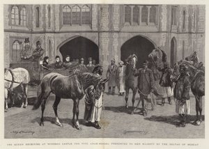 मस्कट के सुल्तान द्वारा महारानी को विंडसर कैसल द फाइव अरब हॉर्स की महारानी ने महामहिम को भेंट की
