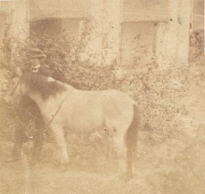 [मैन एंड हॉर्स, गवर्नमेंट हाउस, इलाहाबाद], 1858। द्वारा जॉन कॉन्सटेंटाइन स्टेनली