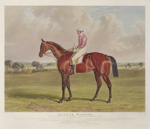 &39;लिटिल वंडर&39;, 1840 में एप्सोम में डर्बी स्टेक्स के विजेता, चार्ल्स हंट (1803-77) द्वारा उत्कीर्ण, पब। एस। und जे। फुलर द्वारा, 1840 (एक्वाटिंट) द्वारा जॉन फ्रेडरिक हेरिंग सीनियर