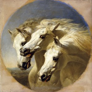 फिरौन के घोड़े, 1848