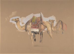 दो ऊंट, सीए। 1843. द्वारा जॉन फ्रेडरिक लुईस
