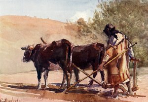 जैतून के पहाड़ पर जुताई, 1902। द्वारा जॉन फुललीवे
