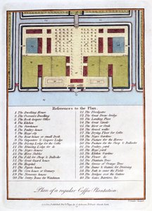 एक नियमित कॉफी बागान की योजना, 1813 द्वारा जॉन गेब्रियल स्टीडमैन